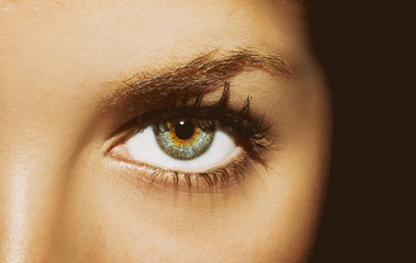 A beautiful insightful look woman's eye.
