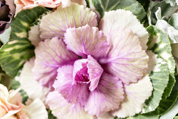 beautiful bouquet of mixed flowers into a vase on wooden table. copy space