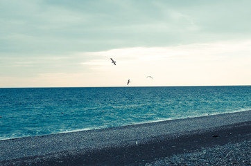 Black sea