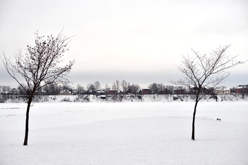 Winter landscape in park.