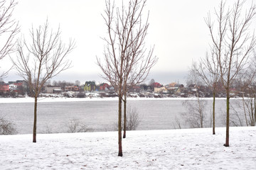 Winter landscape in park.