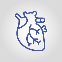 Anatomical real heart isolated flat vector linear icon