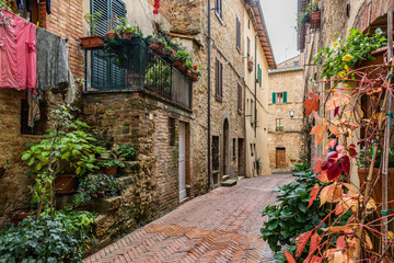 Fototapeta na wymiar Flowery streets on autumn day in a small magical village Pienza, Tuscany. Italy