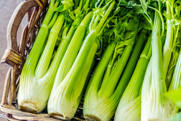 Heads of celery. Close-up.