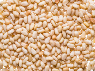 Seeds of pines or pine nuts on the white background.