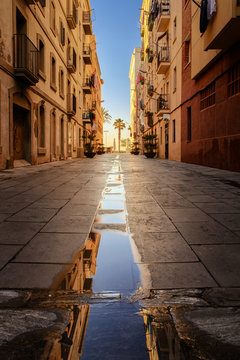 Street Of Barcelona