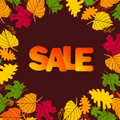 Autumn Sale background