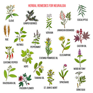 Best herbal remedies for neuralgia
