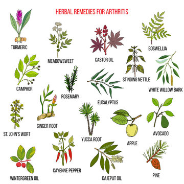 Best herbal remedies for arthriris.