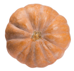 medium orange pumpkin top view
