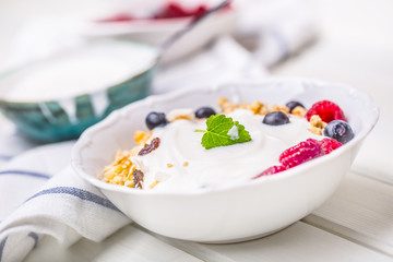 Muesli yoghurt and berries. Healthy breakfast with yogurt granola and fresh fruit