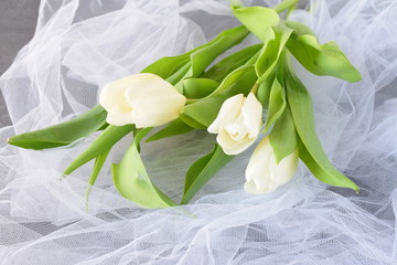 White tulips on a white light cloth. Wedding concept. Love.