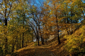 Przemyśl park. Jesień