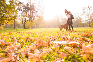 Beautiful young woman playing with her Dog in the forest