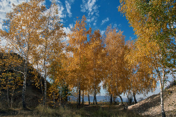 The Volga river through the autumn forest.