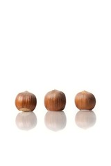 three nuts isolated on white studio background