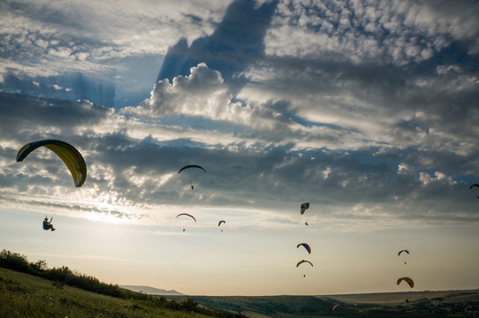 paragliders