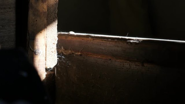 Old abandoned house dusty furniture close-up footage - Closing rotten wooden chest