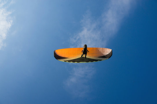 paraplane