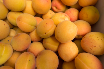 Top view of ripe fresh orange apricots