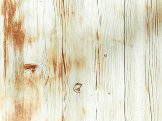 wood grungy background with space for your design