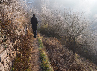 Wandern in Stuttgart