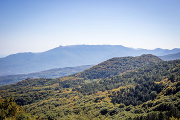 Fototapeta premium mount