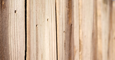 abstract texture of a wood  wall