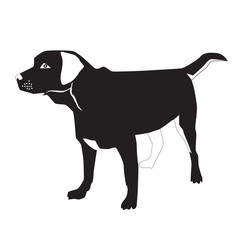 Cartoon labrador retriever trains. Vector illustration.