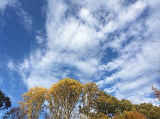 fall sky with clouds