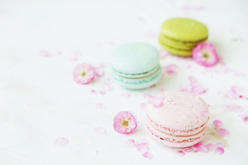 Macaron or macaroon french coockie on white textured with spring sakura flowers, pastel colors.