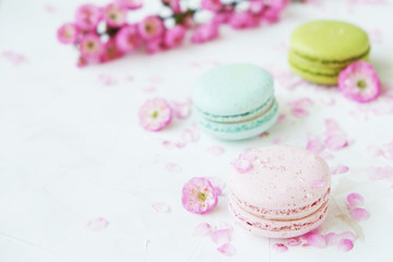 Macaron or macaroon french coockie on white textured with spring sakura flowers, pastel colors.