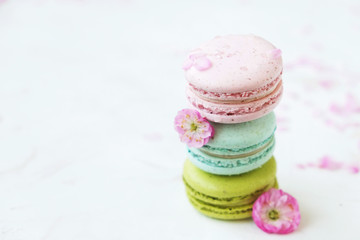 Macaron or macaroon french coockie on white textured with spring sakura flowers, pastel colors.