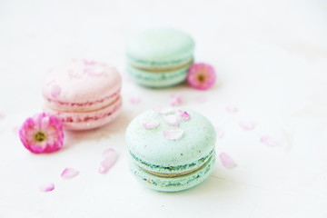 Macaron or macaroon french coockie on white textured with spring sakura flowers, pastel colors.