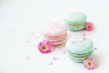 Macaron or macaroon french coockie on white textured with spring sakura flowers, pastel colors.