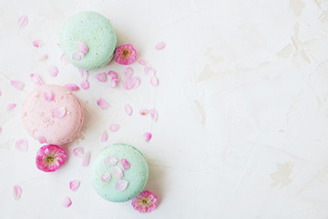 Macaron or macaroon french coockie on white textured with spring sakura flowers, pastel colors.