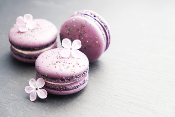 Macaron or macaroon french coockie on graphite background with purple flowers, pastel colors. Flat lay. Food concept.