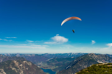 Fototapeta na wymiar Paraglider flying in blue sky
