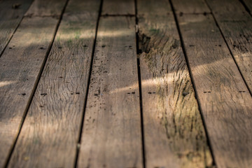 beautiful old wood background