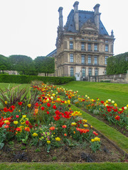 Fototapeta na wymiar Spring gardens of the Tuileries and part of the Louvre, Paris