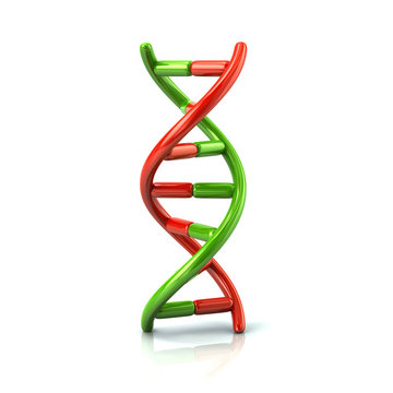 Green and red DNA icon