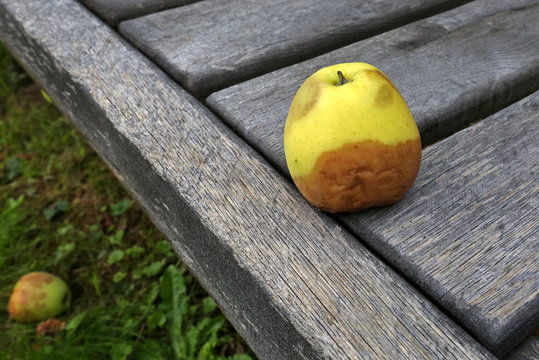 fauler Apfel
