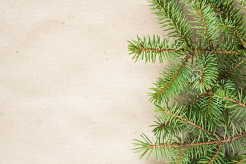fir branches border on light rustic background, good for christmas backdrop