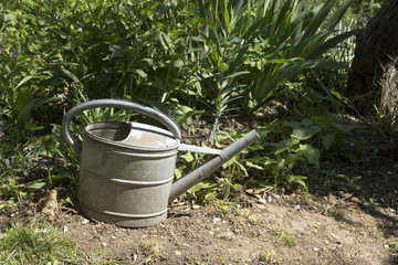 Watering can in a garden