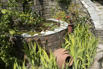 Garden pond with plants and pots