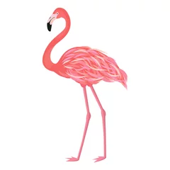 Fotobehang Vector illustration pink flamingo. Exotic bird. Cool flamingo decorative flat design element. Lovely flamingo © alexeyevajulia