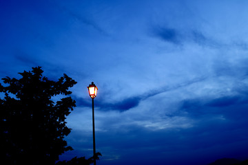 old lamp lit, tree silouette, and blue sky at blue hour