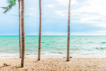 View of nice tropical beach with palms around.