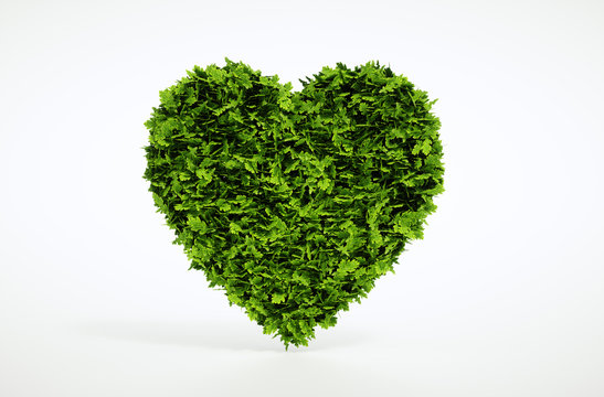 Green heart isolated on white background. 3d illustration.