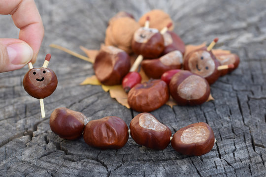 Hand made animal chestnut figurines